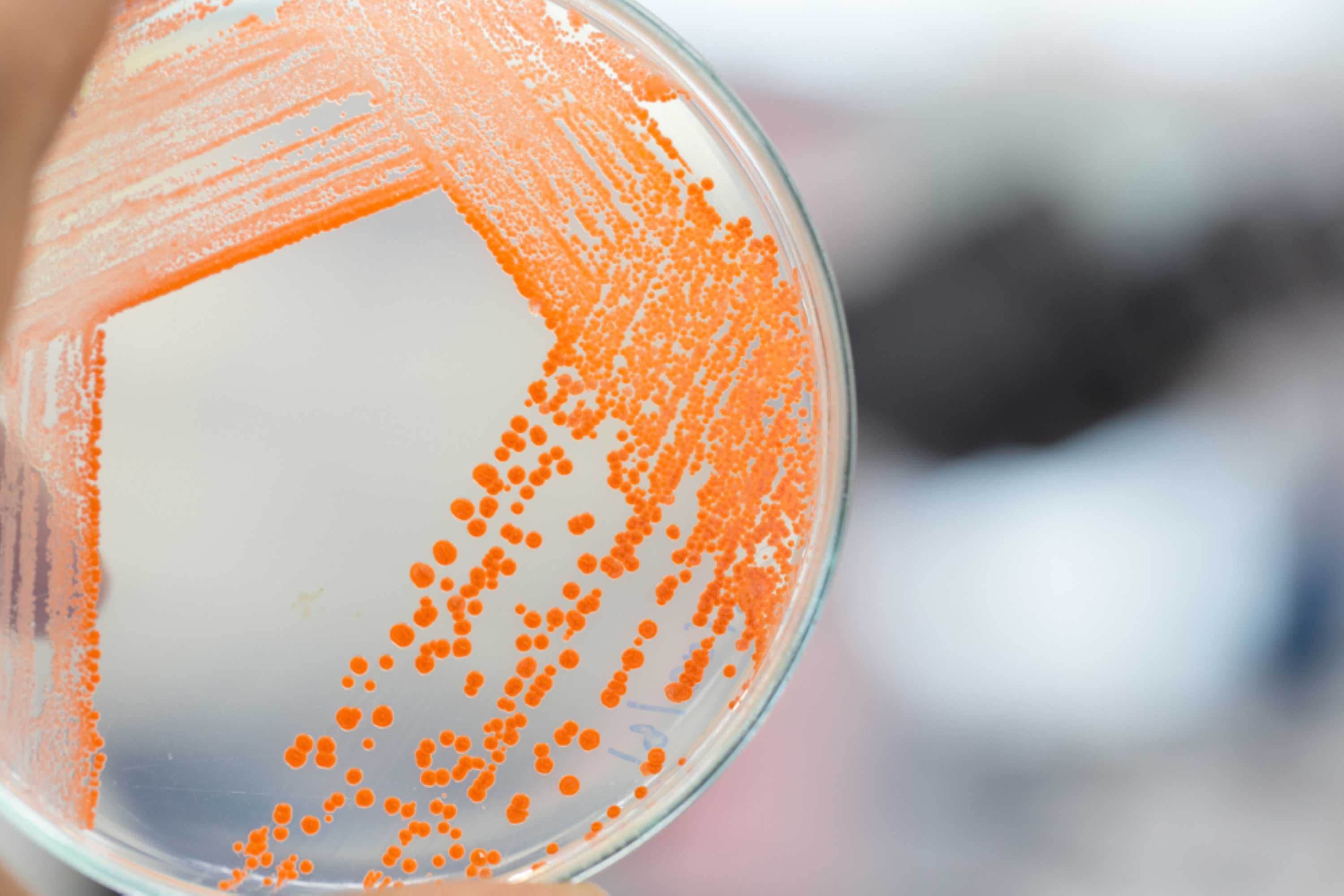 Remtech Space Operations